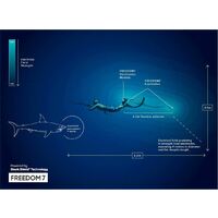 Ocean Guardian FREEDOM7 Powered by Shark Shield Technology