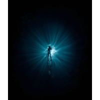 DiveR Innegra Zapanta Fins