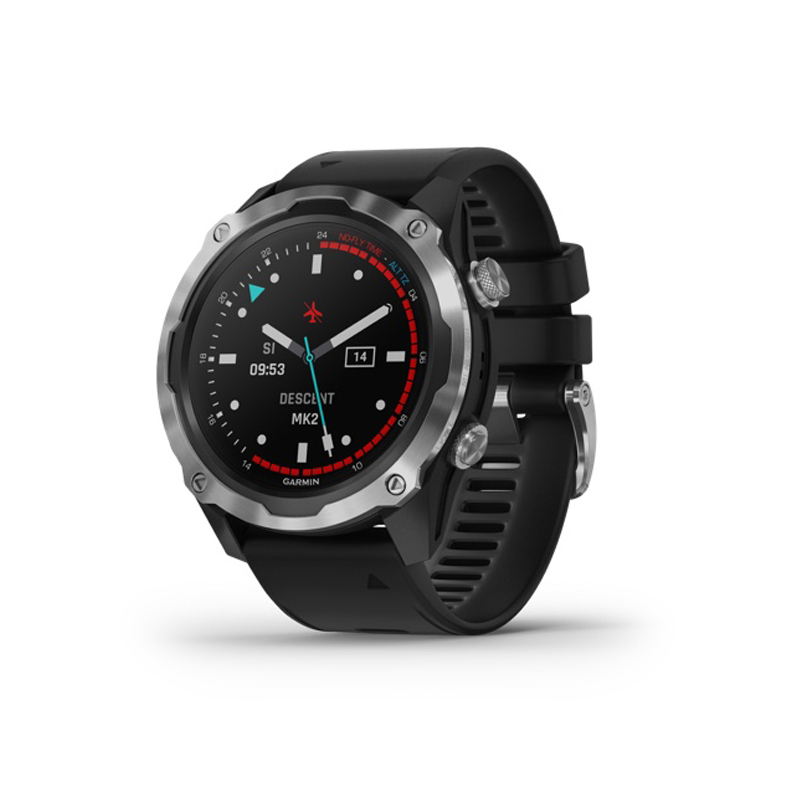 Garmin Descent™ Mk2 Stainless Steel with Black Band
