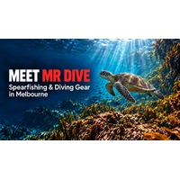 Meet MR DIVE: Spearfishing & Diving Gear in Melbourne